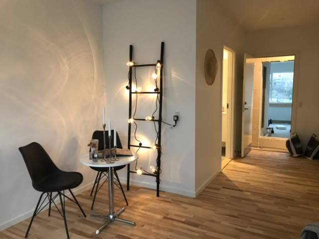 Domus-Vista-på-Frederiksberg