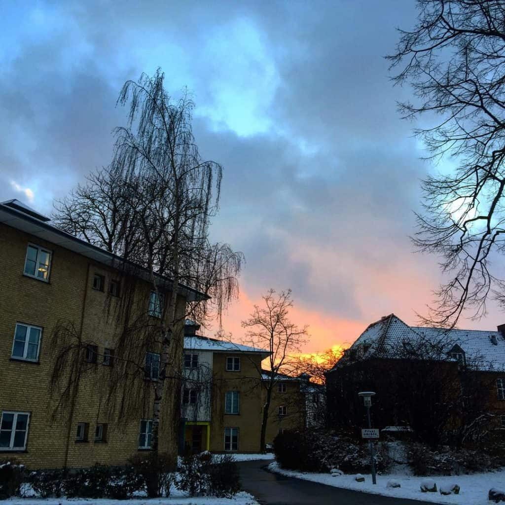 Kollegiebolig eller studiebolig i Roskilde