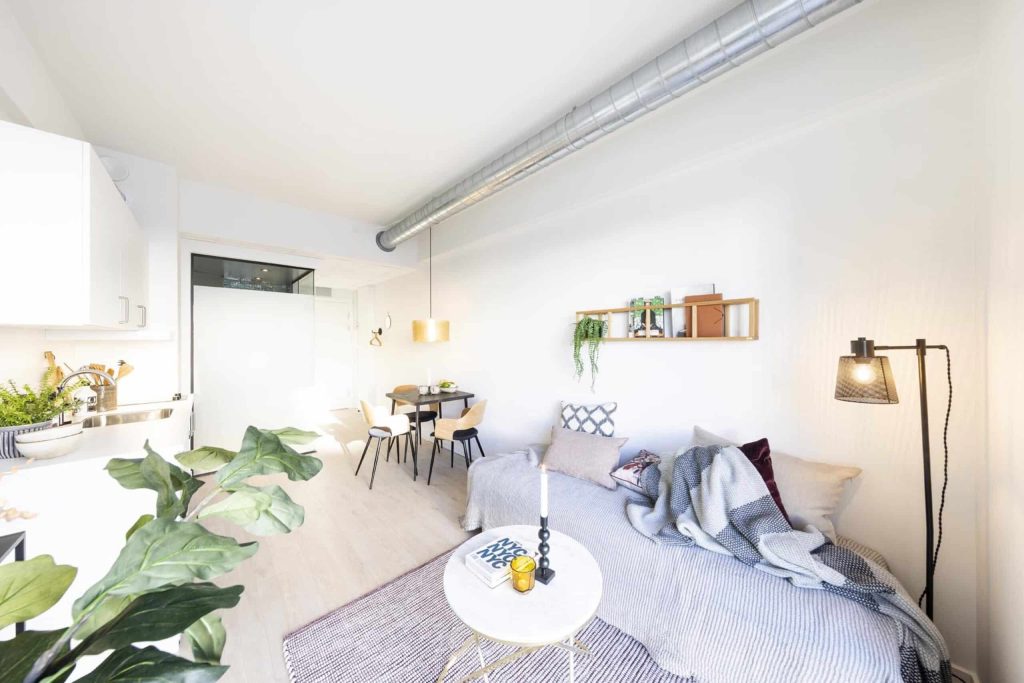 Lys og rummelig Campus Aviator lejlighed med åbent køkken-alrum, spiseplads, sofaområde, moderne indretning, grønne planter og store vinduespartier med masser af dagslys.